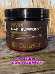 Review by User1
